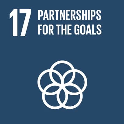 United Nations Sustainable Development Goal 17: Partnerships for the Goals