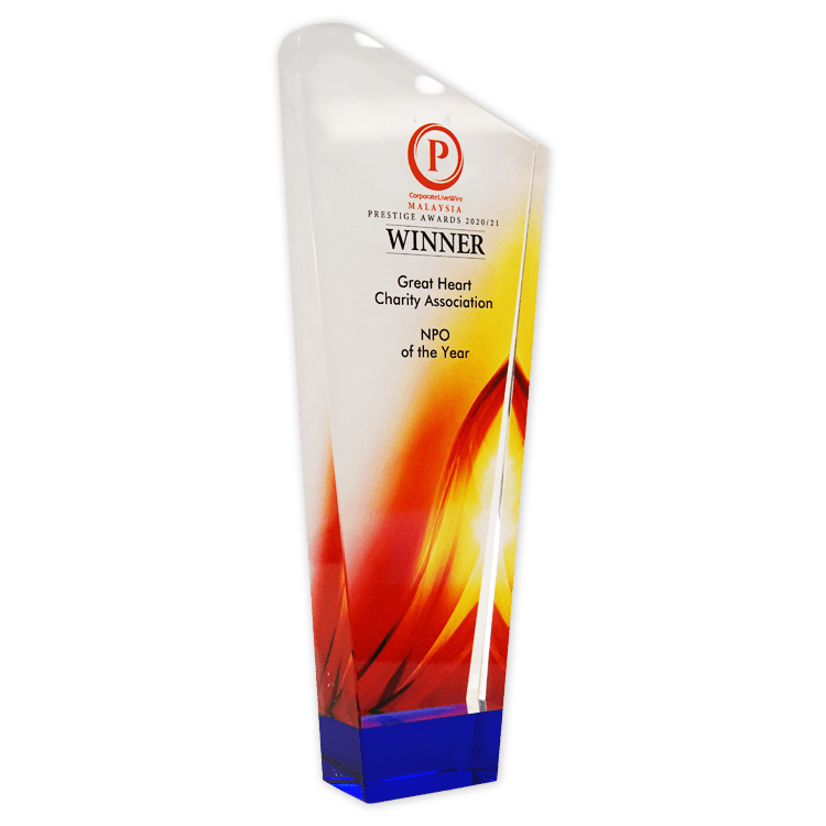 NPO of the Year award