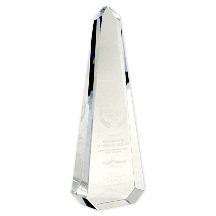 Company of the Year Award award