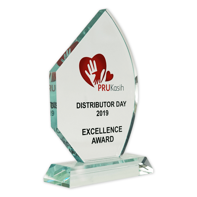 Excellence Award award