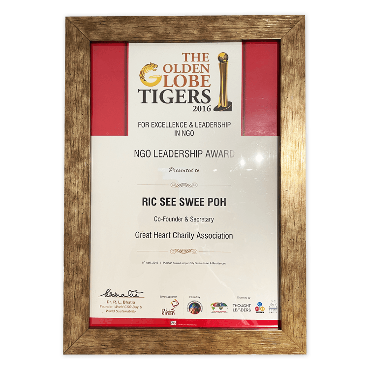 2016 Leadership Award award