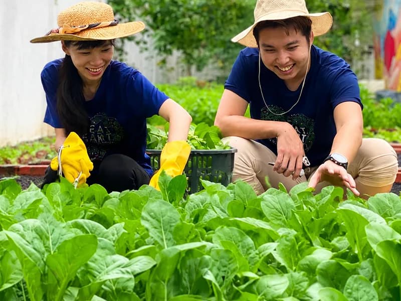 Volunteers working together in a community garden