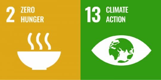 United Nations Sustainable Development Goals 2: Zero Hunger and 13: Climate Action
